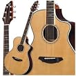 Breedlove  Atlas Stage C25/SR Acoustic-Electric Guitar