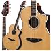 Breedlove  Atlas Stage C25/SR Acoustic-Electric Guitar