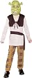 Kids Shrek Costume