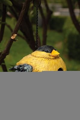 Finch Portly - Birdhouse