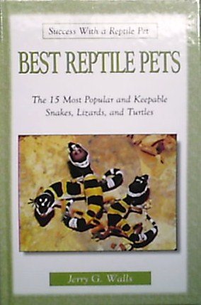 Success With a Reptile - Best Reptile Pets