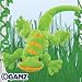 Webkinz Lemon Lime Gecko Plush Stuffed Animal