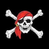 Pirate Skull and Crossbones - Pirates, Skulls, and Scary Women's Cut T-Shirt