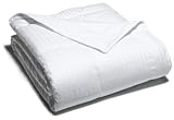 Pike Street 280-Thread Count Damask Stripe Cotton White Down Comforter