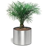IMAGE OF Greens Planter on casters Size: 14.4