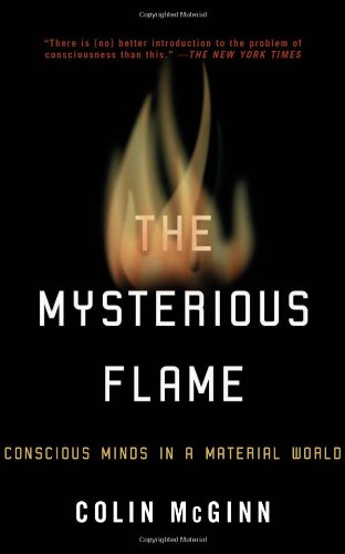 the mysterious flame conscious minds in a material world