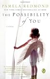 The Possibility of You [Paperback]