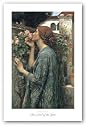 The Soul of the Rose by John William Waterhouse 25"x16" Art Print Poster