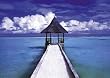 MALDIVES BEACH TROPICAL NEW POSTER MINT CONDITION - 24x36 Poster
