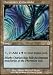 Darkwater Catacombs Foil