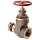 Dixon RWDGV250F Brass Wedge Disc Gate Valves, 2-1/2" NPT Female x NST Male
