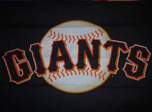 Two Standard Pillowcases 