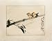 Chinese Sumi-e Brush Painting Art, Watercolor on Paper - Two Magpies on Branch (black) "Love Birds"
