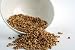 Coriander Seeds 4 - 24