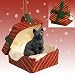 Black Shorthaired Tabby Cat Red Gift Box Christmas Ornament