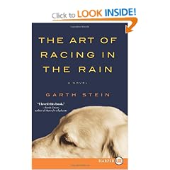 The Art of Racing in the Rain