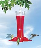 Birdscapes 279 Deluxe Rose Petal Hummingbird Feeder, 12 oz capacity