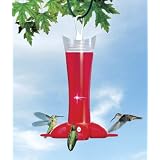 Birdscapes 279 Deluxe Rose Petal Hummingbird Feeder, 12 oz capacity by Birdscapes