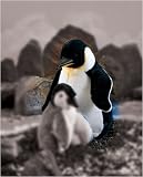 Plush Emperor Penguin Puppet 13"