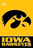 Iowa Hawkeyes NCAA 28 x 40 Vertical Flag