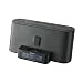 Sony ICF-C1IPMK2 Speaker System and Clock Radio with iPod Dock (Black)