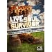Live Worship From Soul Survivor [DVD]