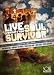 Live Worship From Soul Survivor DVD  from Kingsway
