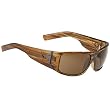 Spy Hailwood Sunglasses - Spy Optic Addict Series Casual Eyewear w/ Free B&F Heart Sticker Bundle - Brown Stripe Tortoise/Bronze