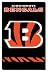 bengal49  - Cincinnati Bengals NFL Nylon Banners