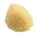 Natural Sea Sponge/Facial Sponge Cleaning by Bellesha