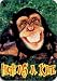 High As A Kite - Monkey Smiling - Funny Sticker / Decal Image