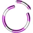 16 Gauge 5/16 Purple Silver Anodized Titanium Segment Ring