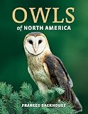 Owls of North America [OWLS OF NORTH AMER]