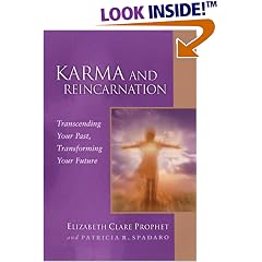 Karma and Reincarnation: Transcending Your Past, Transforming Your Future (Pocket Guides to Practical Spirituality Series) (Pocket Guides to Practical Spirituality Series)