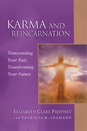 Karma And Reincarnation: Transcending Your Past, Transforming Your Future (Pocket Guides to Practical Spirituality)
