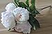 Wuudi Artificial Flower Bouquet Pink Peony 1 Bunch of 5 flowers (1)