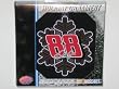 DALE EARNHARDT JR. #88 Car Number & Colors (3.5") Metallic SNOWFLAKE CHRISTMAS ORNAMENT