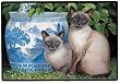 China Blue Siamese Cats Doormat Rug Home Decor