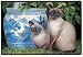 siamese5 - China Blue Siamese Cats Cat Doormat Mat Rug