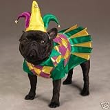 Zack & Zoey Mrs. Court Jester Joker Female Dog Mardi Gras Halloween Costume with Hat Small