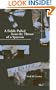 A Fiddle Pulled from the Throat of a Sparrow (New Issues Poetry & Prose)