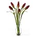 Red/Green Oriental Ginger Liquid Illusion Silk Flower Arrangement