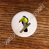 Birds Toucan Toucans Bird Drawer Pulls Knobs