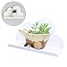 Lemo Handmade -White Wooden Cloud Shelf Decorative HD14