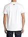 Quiksilver Men's Everyday Logo T-Shirt, White/Black, Large
