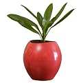 Grobal Self-Watering Flower Pot - Tangerine