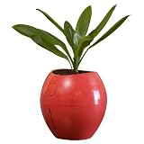 Grobal Self-Watering Flower Pot - Tangerine