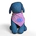 Tail Trends Dog Bandanas for Every Dog Occasion with Pink Princess Summer Spring Nature Handmade Appliques - 100% Cotton