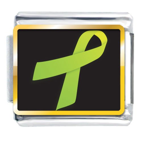 Lime Green Ribbon Awareness Italian Charms Bracelet Link