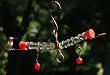 Tweeter Totter Rocking Hummingbird Feeder